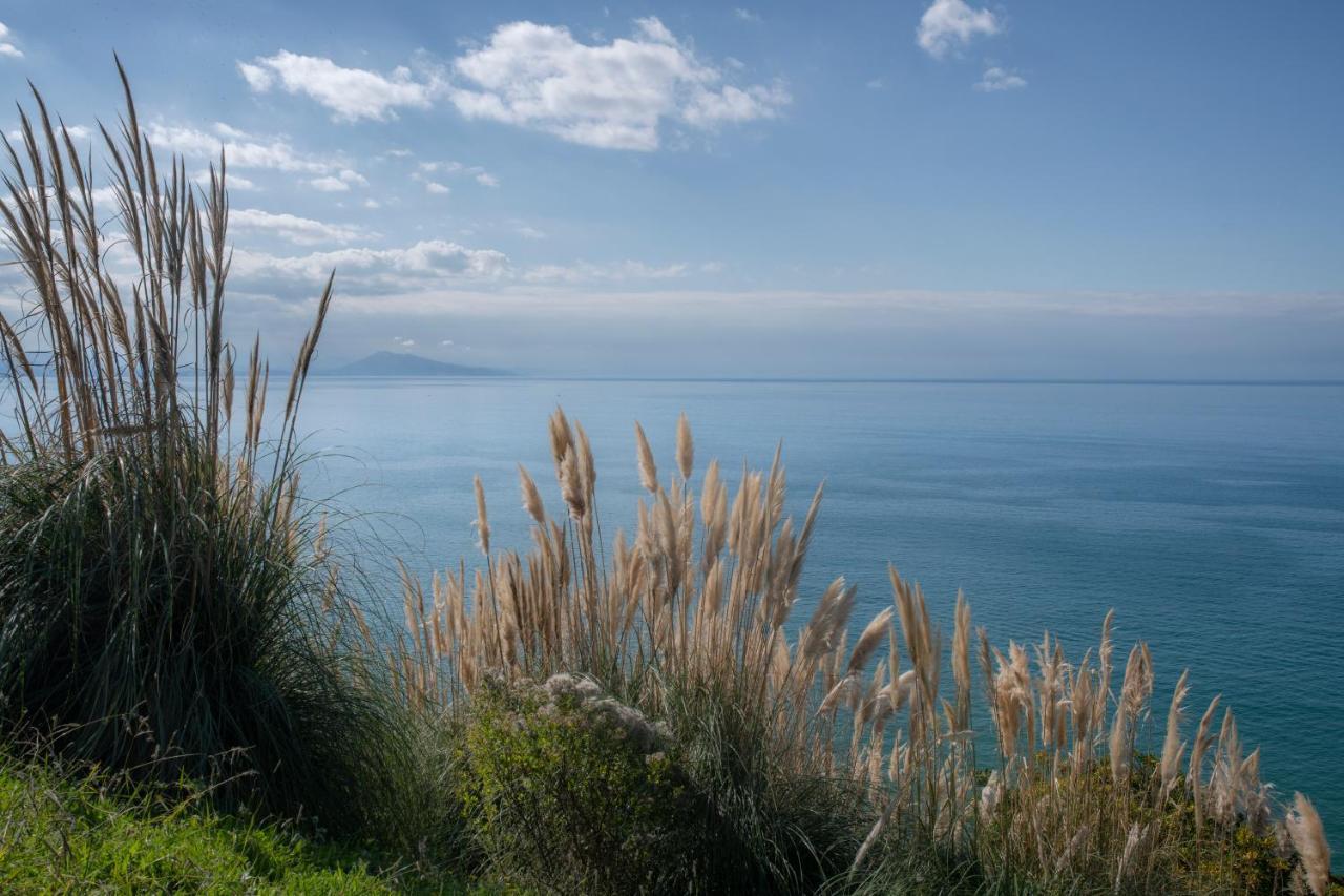 Studio Design - Proche Plage Biarritz Exterior photo